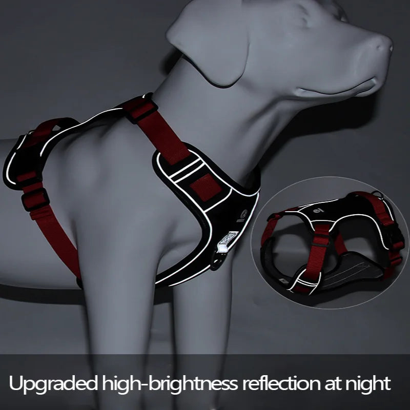 Reflective Harness