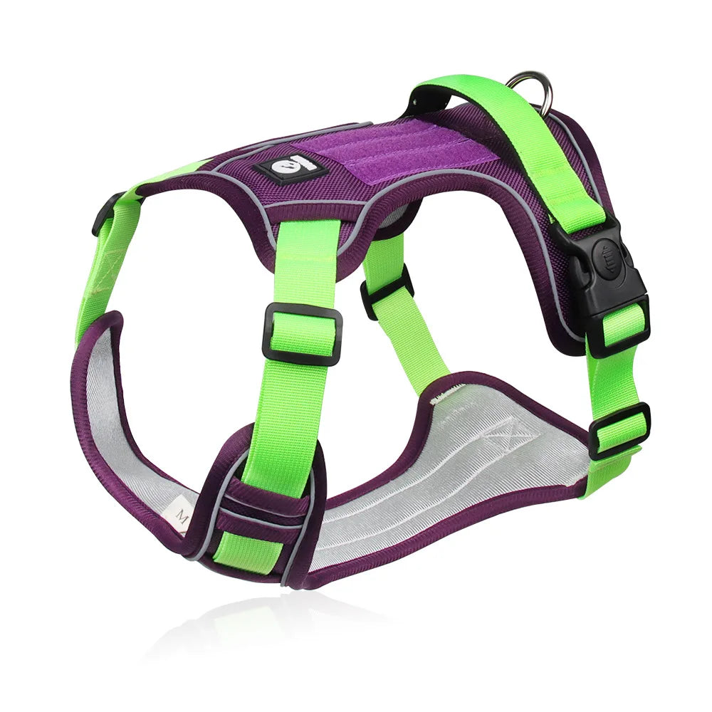 Reflective Harness