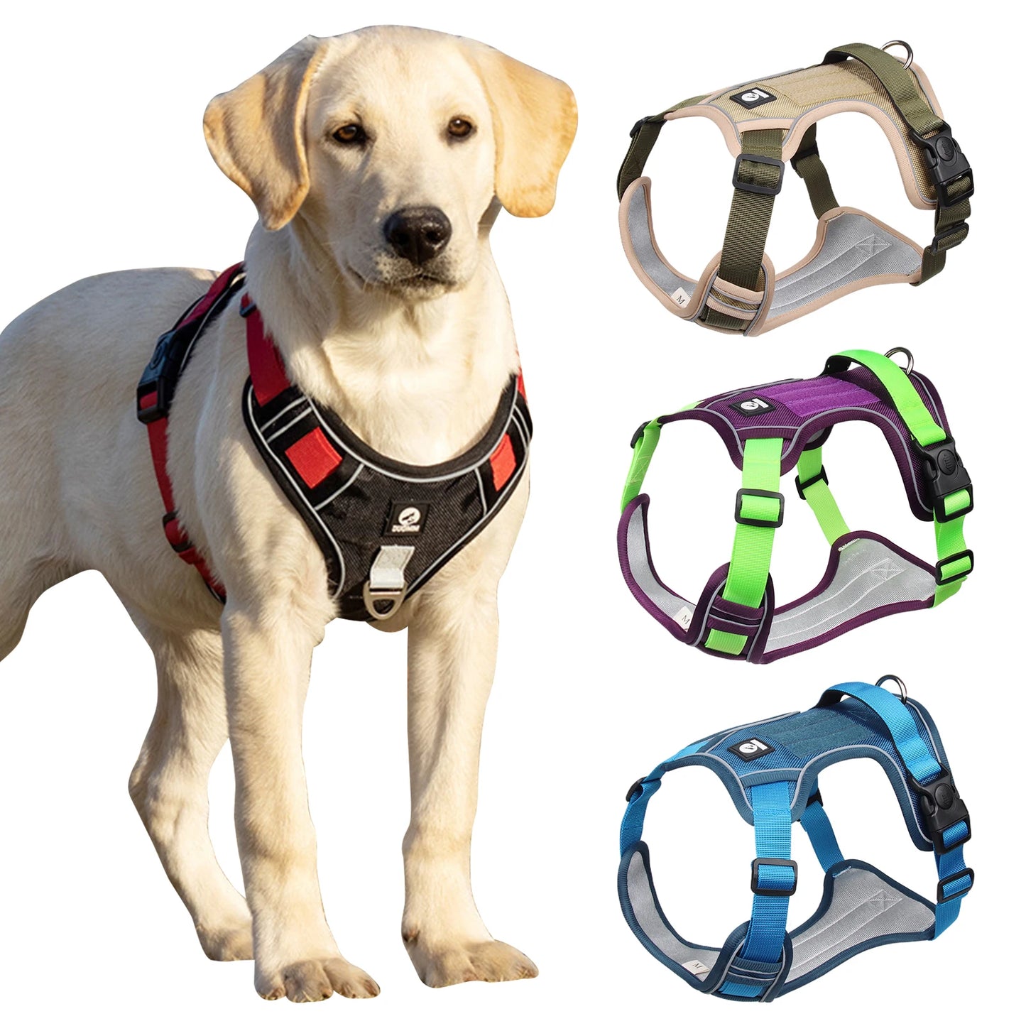 Reflective Harness