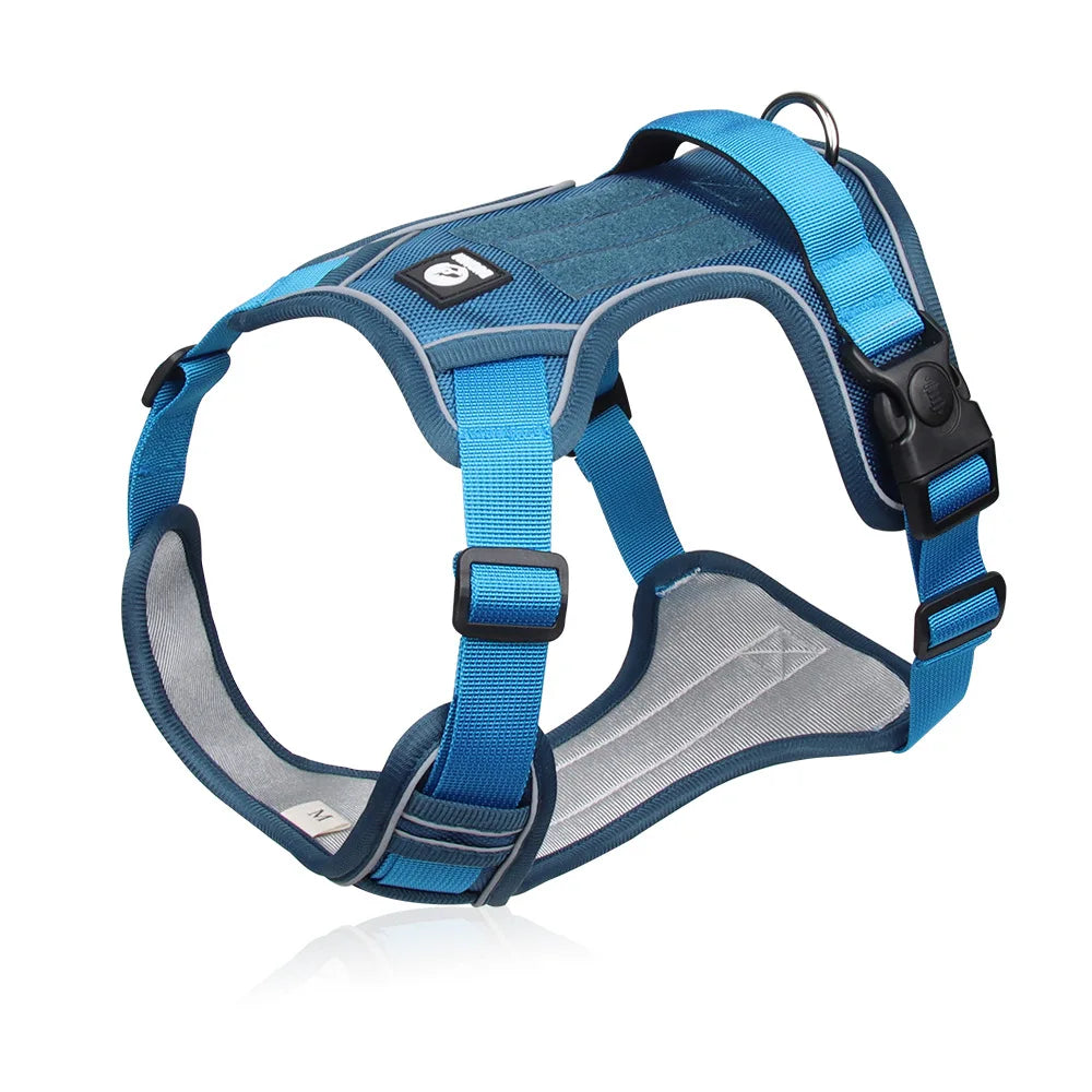 Reflective Harness
