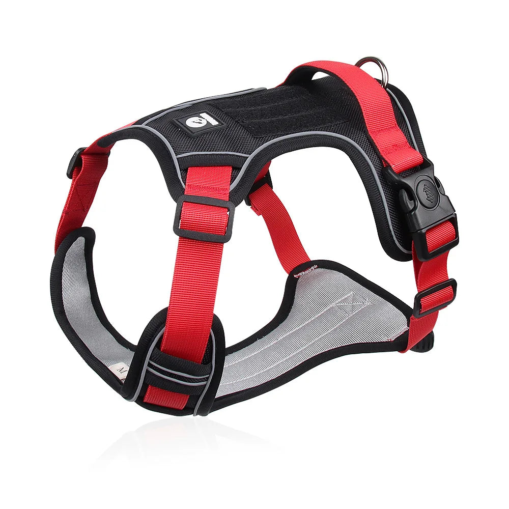 Reflective Harness