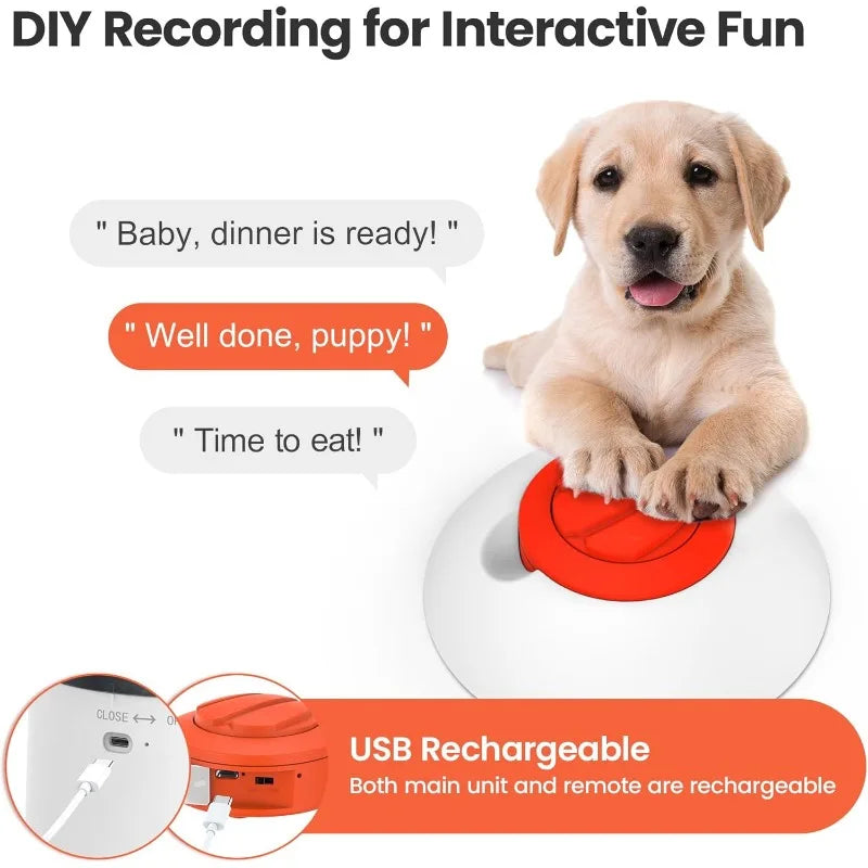 Interactive Treat Feeder