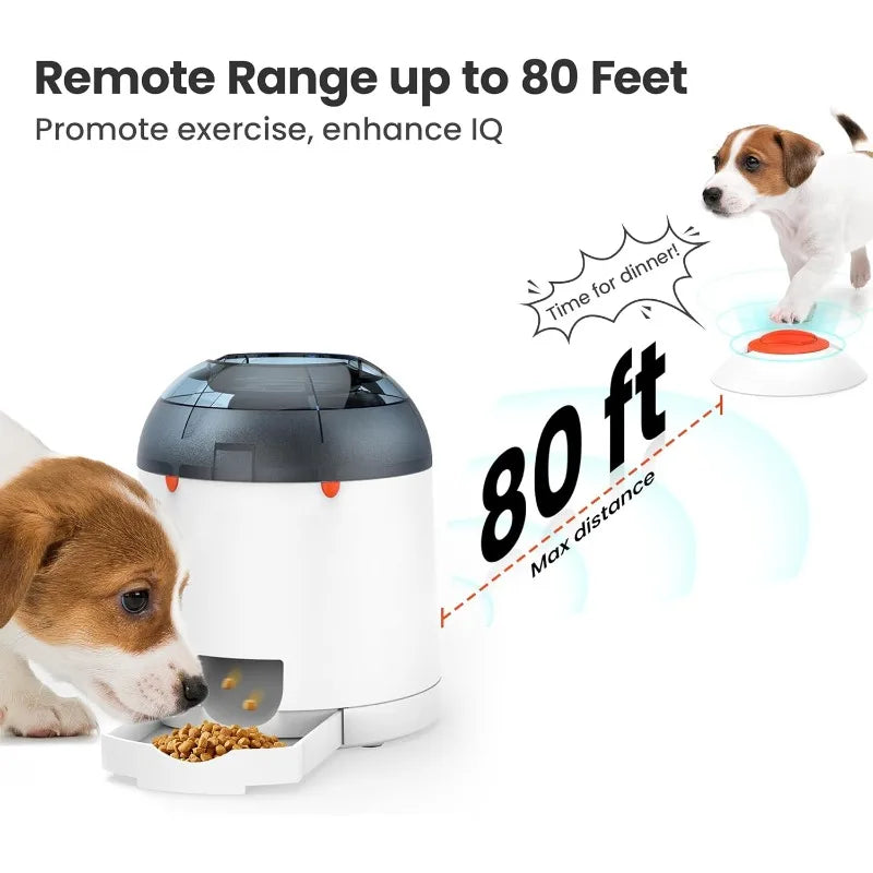 Interactive Treat Feeder