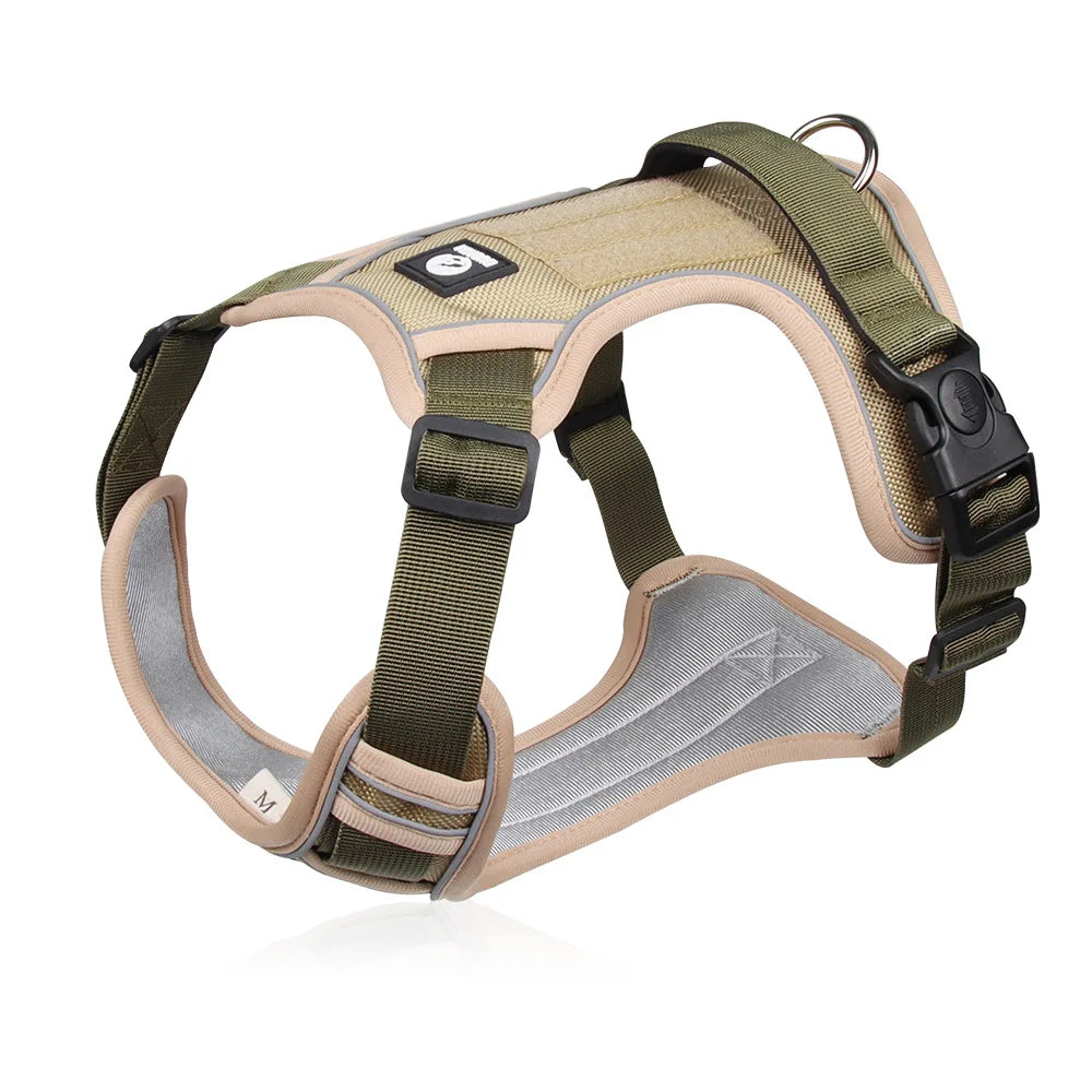 Reflective Harness
