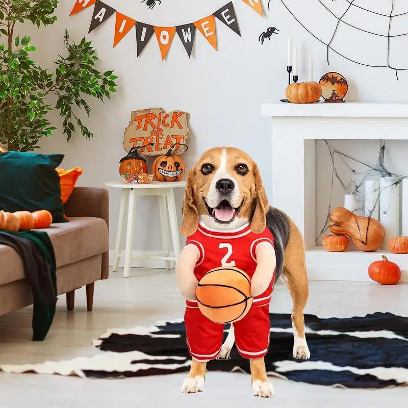 Basketball Player Pet Costume