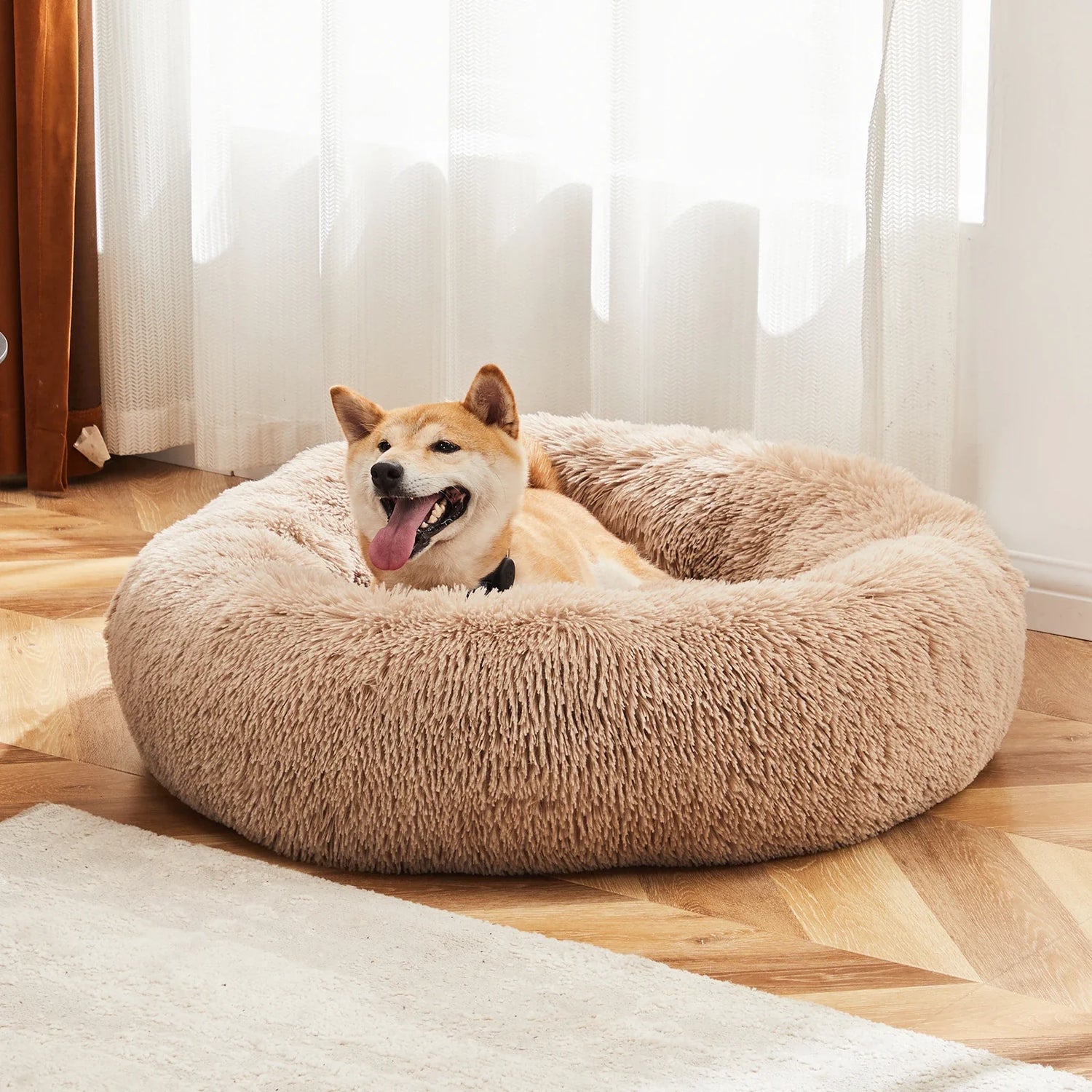 Pet Beds