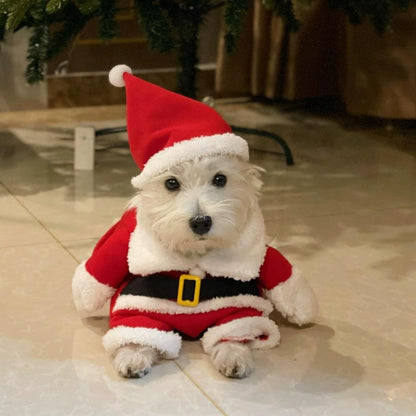 Santa Paws