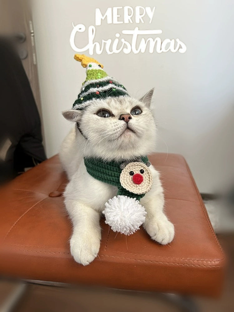 Festive Hat and Scarf for Cats