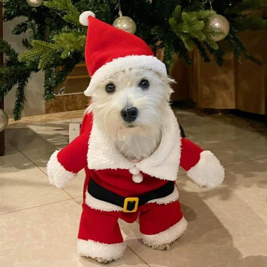 Santa Paws