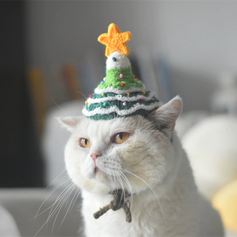 Festive Hat and Scarf for Cats