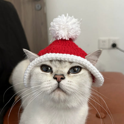 Festive Hat and Scarf for Cats