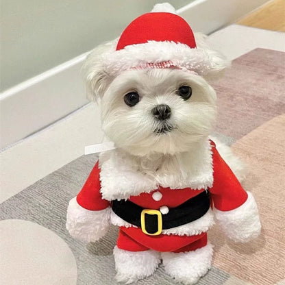 Santa Paws