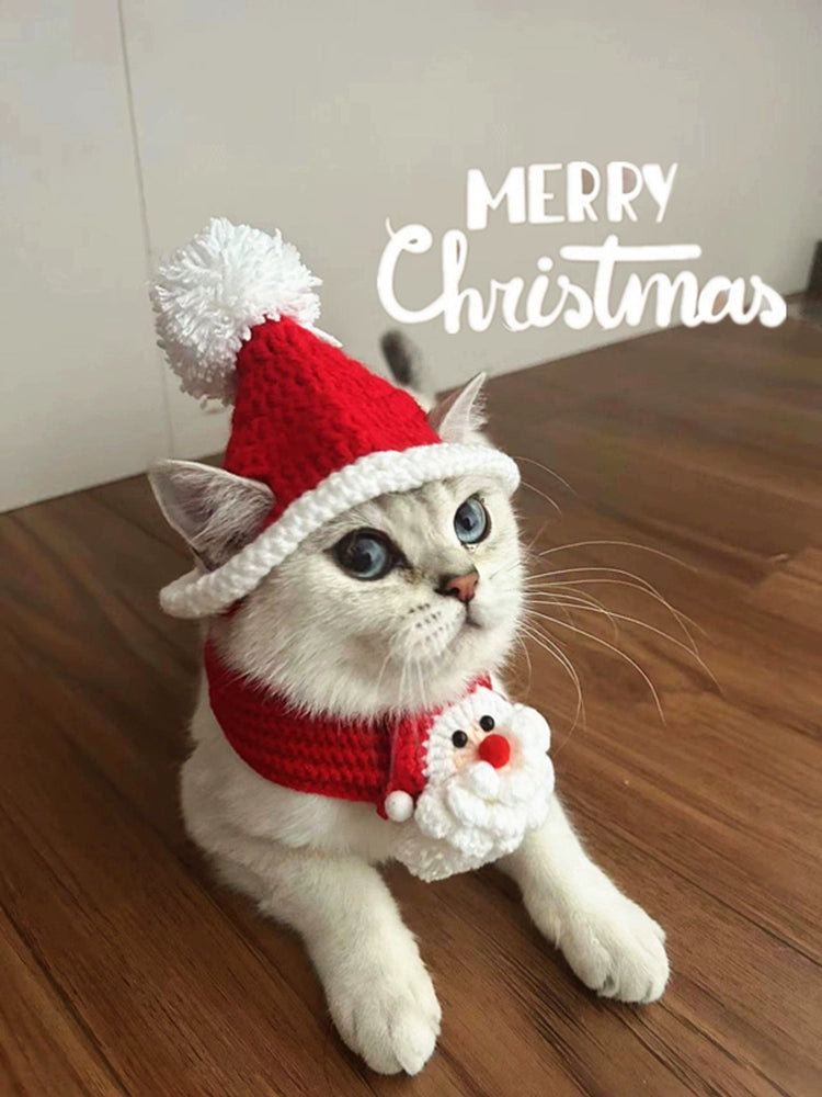 Festive Hat and Scarf for Cats