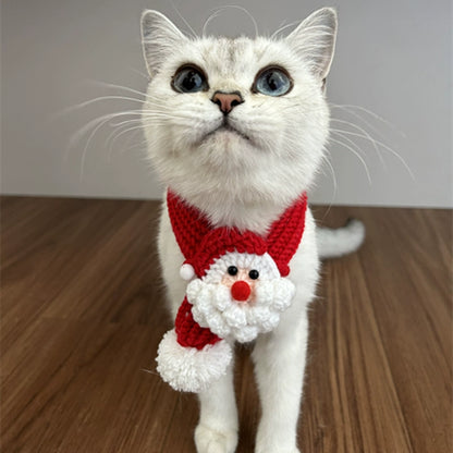 Festive Hat and Scarf for Cats