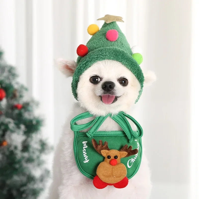 Festive Hat & Bib for Small Dog