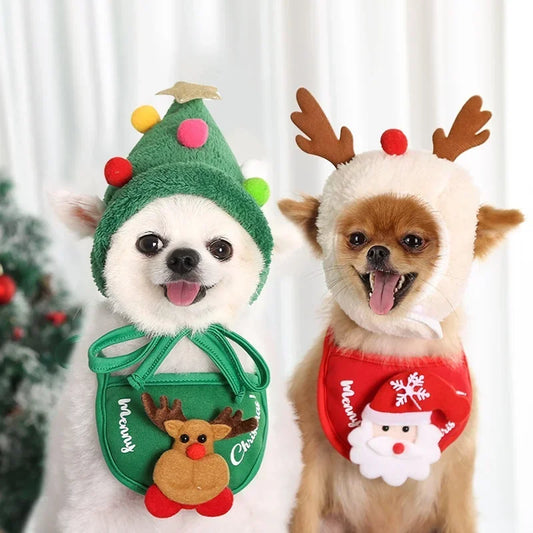 Festive Hat & Bib for Small Dog