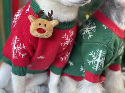 Rudolph's Cozy Sweater