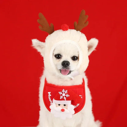 Festive Hat & Bib for Small Dog