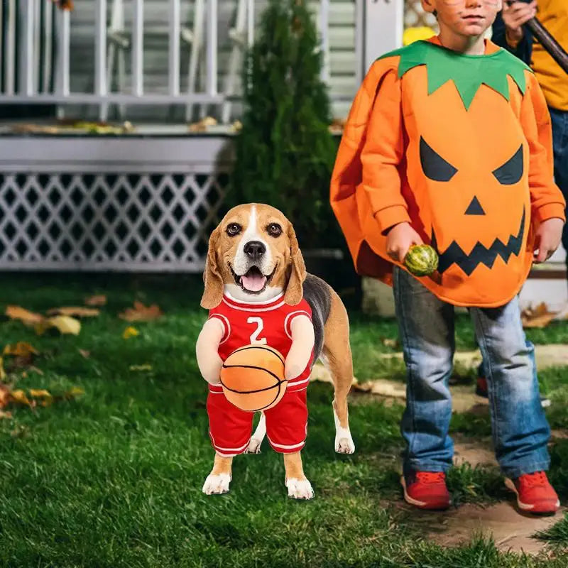 Basketball Player Pet Costume