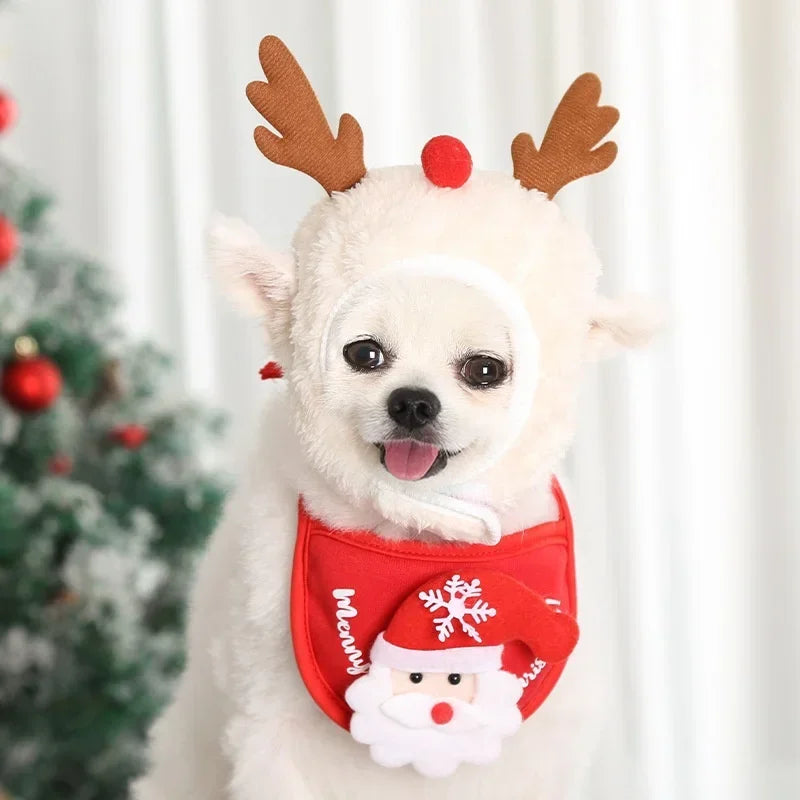 Festive Hat & Bib for Small Dog